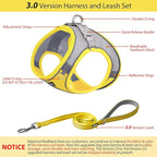 AIITLE Easy Walk Dog Harness and Leash Set - Image 4