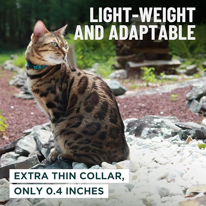 OutdoorBengal Red Cat Collar Breakaway - Image 6