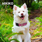 Hikiko Martingale Dog Collars Reflective Nylon Dog Collar - Image 3