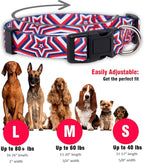 Native Pup American Flag Dog Collar- Red White and Blue- Patriotic Collars - Image 3