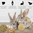 SunGrow Assorted Rabbit Chew Balls, Teething Activity Toy - Image 6