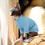 PUMYPOREITY Stretchy Cat Shirt & Sweater - Image 4