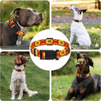 Sunflower Dog Collar, Floral Boys Girls Puppy Collar - Image 6
