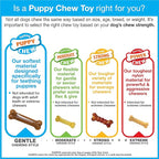 Nylabone New Puppy Starter Kit, 5 Chew Toys and 1 Natural Treat - Image 15