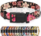 Dog Collar for Boys & Girls, Puppy Collar for Small to Large Dogs, Adjustable by Seyezo
