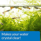 API ACCU-CLEAR Freshwater Aquarium Water Clarifier 8-Ounce Bottle - Image 7