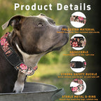 Dog Collar for Boys & Girls, Puppy Collar for Small to Large Dogs, Adjustable - Image 2