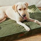 FUKUMARU Dog Bed, Thickened Corduroy Orthopedic Dog Beds - Image 7