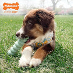 Nylabone Sensory Material Soothing Puppy Chew Toy Bundle, Toys - Image 6
