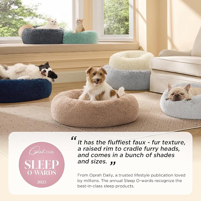 Bedsure Calming Dog Bed for Small Dogs - Image 2