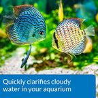 API ACCU-CLEAR Freshwater Aquarium Water Clarifier and API TAP WATER - Image 4