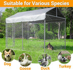 Outdoor Dog Kennel Large with Roof, Dog Run Enclosure, Large Outside Heavy Duty - Image 5