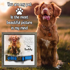 Personalized Pet Memorial Gifts Water Color Dog Picture Frame Dog Loss Sympathy - Image 6