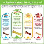 Nylabone Original Bone Flexi Chew Toy - Image 12