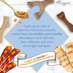 Nylabone Gourmet Style Femur & Wishbone Strong Chew Toy - Image 5