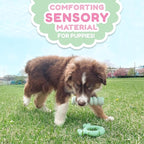 Nylabone Sensory Material Soothing Puppy Chew Toy Bundle, Toys - Image 2