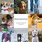Blueberry Pet Adjustable Flocking Dog Collar - Image 5