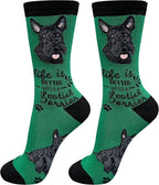 E&S Pets Pet Lover Socks by ESPETS