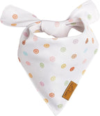 Remy+Roo Extra Large Spring Dog Bandanas - Image 5