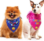 Dog Birthday Bandana by OdiStyle
