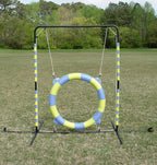 Agility Tire Jump - Image 2