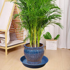 3 Pack of 20 22 inch Plant Saucer, 3.6" Depth Tray, Large Deep Garden Plastic - Image 3