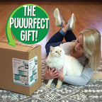 Kitty City Claw Indoor Mega Kit Cat Furniture, Corrugate Cat Scratcher - Image 2