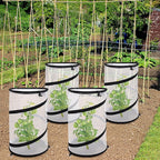 4 Pcs Pop Up Insect Barrier Plant Cover Net, 19.6" x 11.8" Round Foldable Plant - Image 5