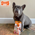 Nylabone Limited Edition 70th Birthday Textured Bone Power Chew Toy - Image 2