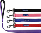 Downtown Pet Supply 2ft Heavy-Duty Dog Leash - Image 2