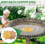 Saillong 4 Pack Bird Bath Copper Disk, Reinforced 99.99% Pure Copper Bird Bath - Image 6