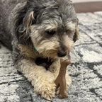 SPOT Bam-Bones Wishbone - Image 5