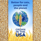 sWheat Scoop Natural Wheat Cat Litter, Fast Clumping - Image 8