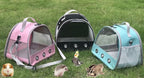 Guinea Pig Carrier Backpack, Bunny Rat Bird - Image 5