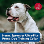 Herm Sprenger Ultra-Plus Prong Dog Training Collar, 3.25 mm x 20" Neck Size; - Image 2