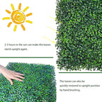 Artificial Boxwood Roll: 60 X 120 in UV-Anti Faux Ivy Boxwood Hedge Leaf Grass - Image 5