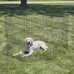 New World Folding Metal Dog Exercise Pen, Indoor/Outdoor Playpen - Image 2