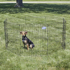 MidWest Homes for Pets Folding Metal Puppy / Dog Exercise Pen, Indoor/Outdoor - Image 2