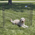 MidWest Homes for Pets Folding Metal Dog Exercise Pen, Indoor/Outdoor Playpen - Image 2